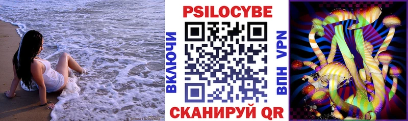 Купить где  Шебекино  Галлюциногенные грибы Cubensis 